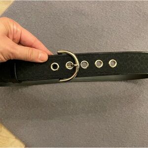 Black coach belt